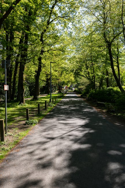 A shaded residential street during daytime with a narrow paved road running through a green, tree-lined area. Tall deciduous trees with fresh spring leaves create a canopy, casting dappled sunlight onto the pavement. On the left side, there is a grassy verge with short wooden posts along the edge of the pavement and a small sign attached to one of the posts. In the background, a driveway or pathway leading to houses or residential buildings is visible, partially obscured by the trees. The scene suggests a peaceful neighbourhood suited for home relocation or moving services, with no vehicles or people present, and the environment is well-maintained and lush. This setting aligns with the location and logistics involved in house removals and furniture transport, where careful packing and loading might be performed nearby, supported by local moving company Man with Van Worcester Park.